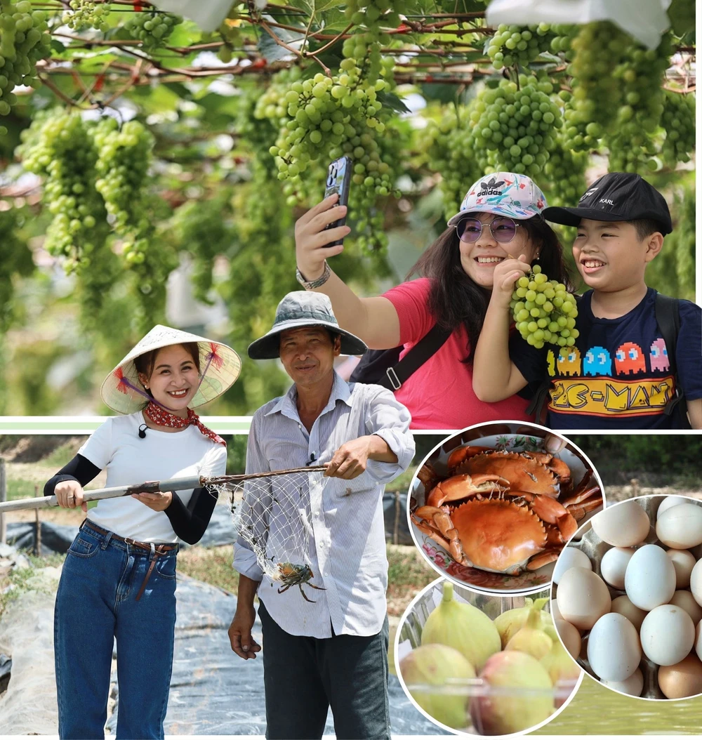 Thay thế nhựa bằng các chất liệu thân thiện với môi trường (13).jpg