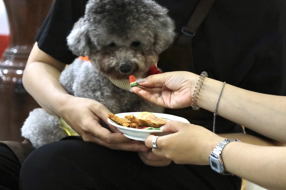 Bánh kẹo, mứt tết cho những ‘thực khách 4 chân’
