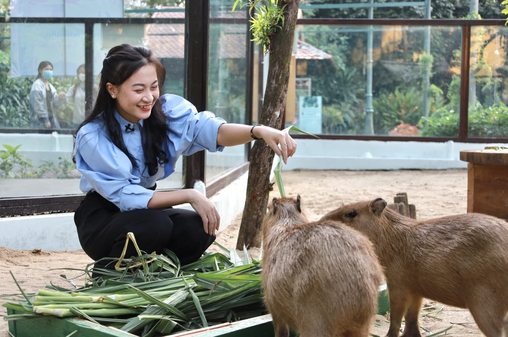 IMG_0967 2capybara-ngoai-doi-that-gay-sot-nguoi-dan-tp-hcm-cho-toi-luot-de-duoc-vuot-ve-post0capybara-ngoai-doi-that-gay-sot-nguoi-dan-tp-hcm-cho-toi-luot-de-duoc-vuot-ve-post0.html.html.jpg