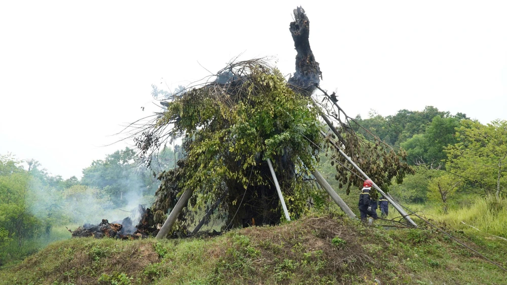 Cây đa 200 tuổi trên núi Thiên Bút bất ngờ bốc cháy dữ dội
