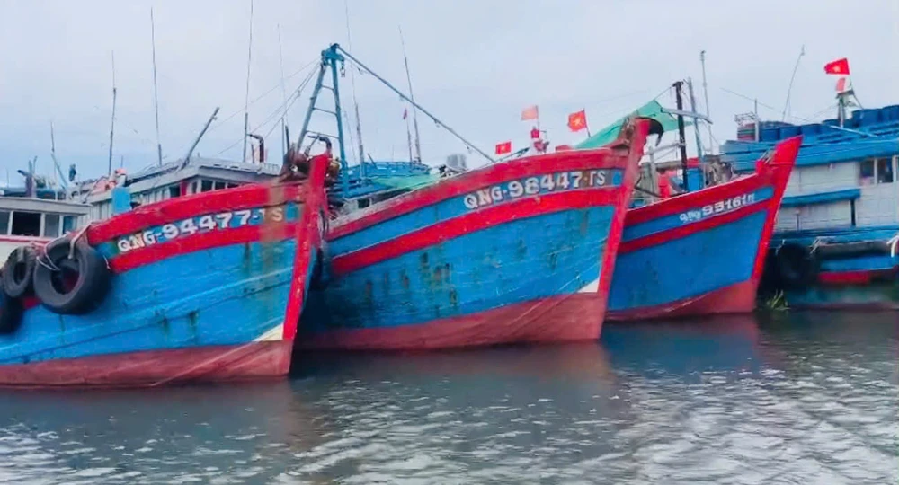 Vi phạm khai thác thủy sản, 4 thuyền trưởng ở Quảng Ngãi bị xử phạt gần 900 triệu đồng