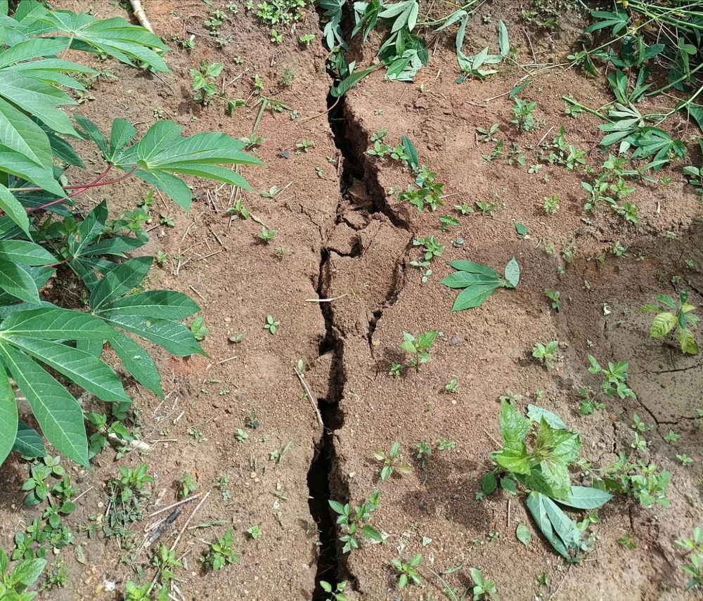 Sơ tán 12 hộ dân ở xã Đăk Plô do vết nứt trên đỉnh đồi dài 200 mét