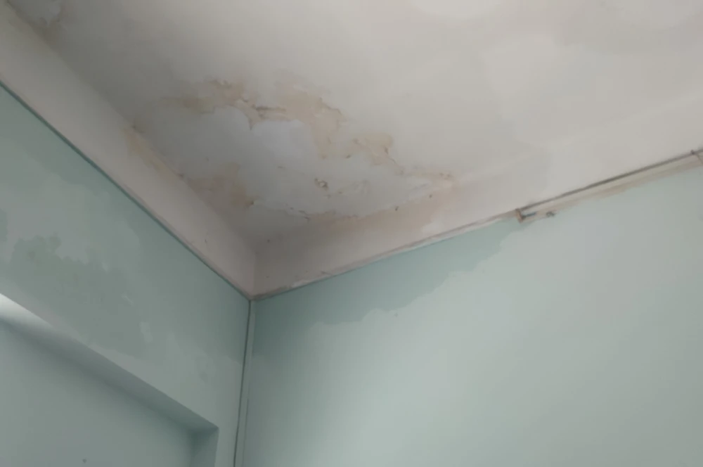 trần nhà bị dột 1 .jpg