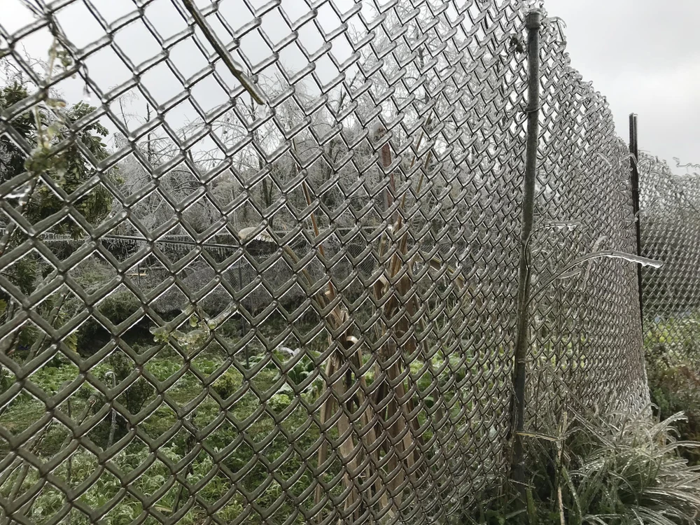 Băng giá tại huyện biên giới Hà Giang, khuyến cáo chống rét cho người và vật nuôi.jpg