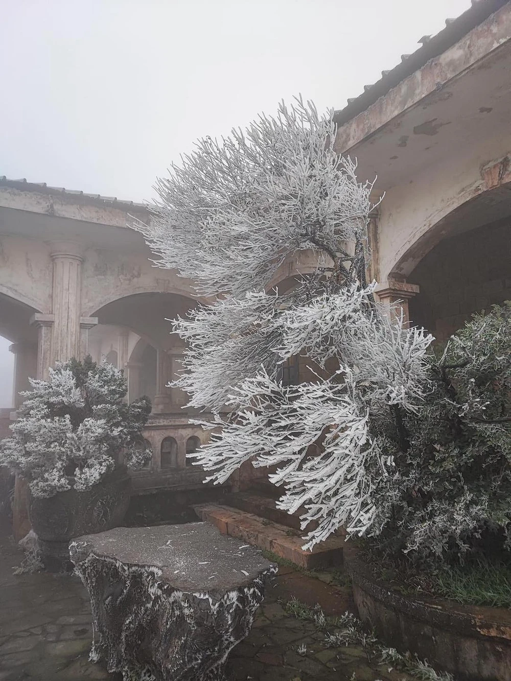 Băng tuyết phủ kín đỉnh Mẫu Sơn 1.jpg