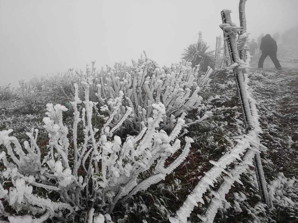Băng tuyết phủ kín đỉnh Mẫu Sơn 2 333.jpg