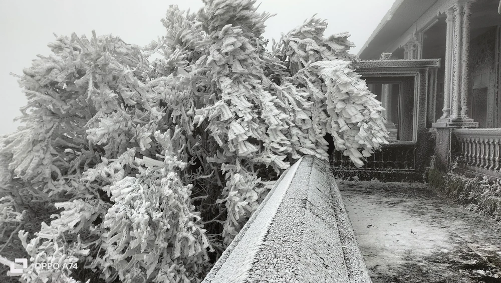 Hơn 5.000 du khách lên Mẫu Sơn xem băng tuyết gây ùn tắc giao thông 2.jpg