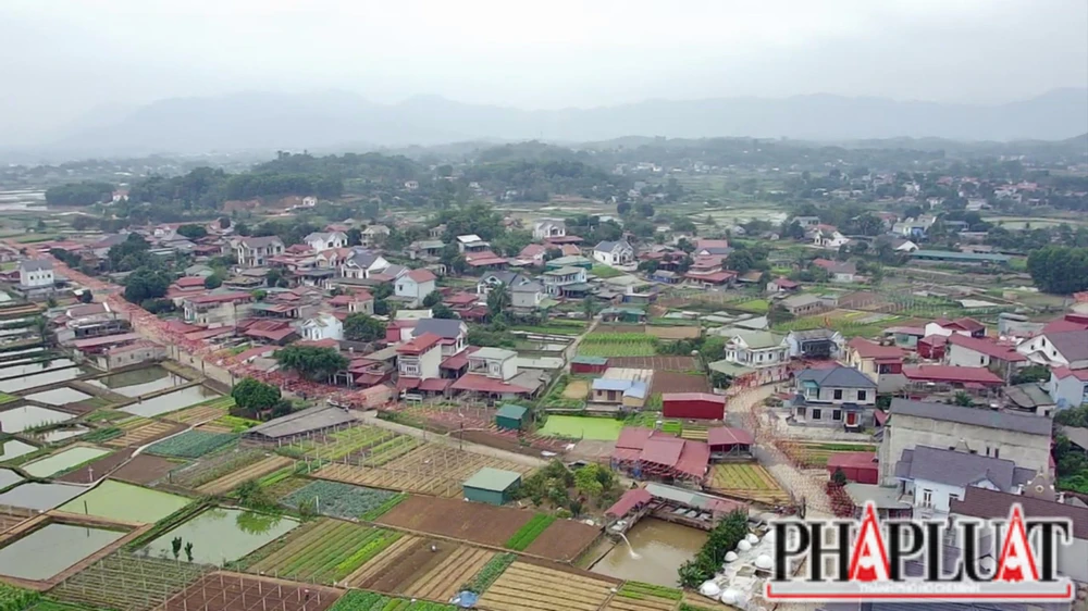 Làng nghề cá chép đỏ Thuỷ Trầm tung hàng Tết ông Công ông Táo 3.jpg