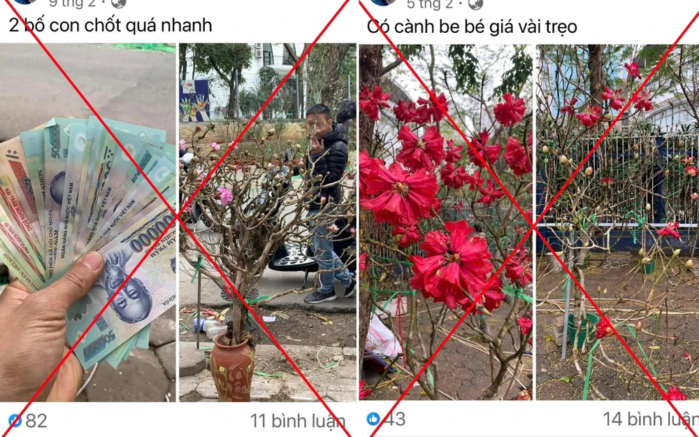 Lai Châu Ngăn chặn nạn chặt phá, mua bán hoa Đỗ Quyên.jpg