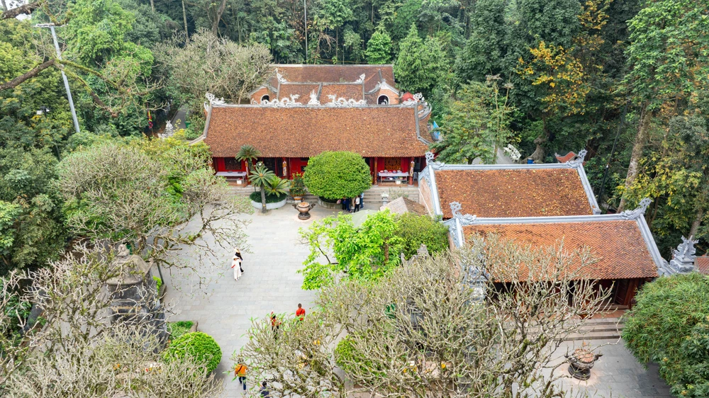 Cây vạn tuế 800 tuổi ở đền Hùng và buổi nói chuyện của Bác Hồ với Đại đoàn quân Tiên phong 1.jpg