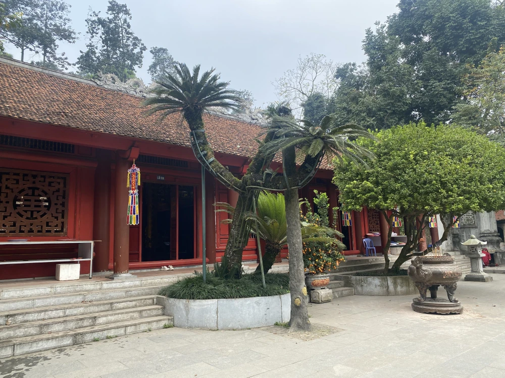 Cây vạn tuế 800 tuổi ở đền Hùng và buổi nói chuyện của Bác Hồ với Đại đoàn quân Tiên phong 8 copy.jpg