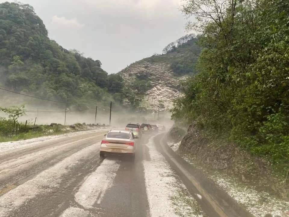 Mưa đá Sơn La phủ trắng núi đồi và mồ hôi, nước mắt người nông dân 4.jpg