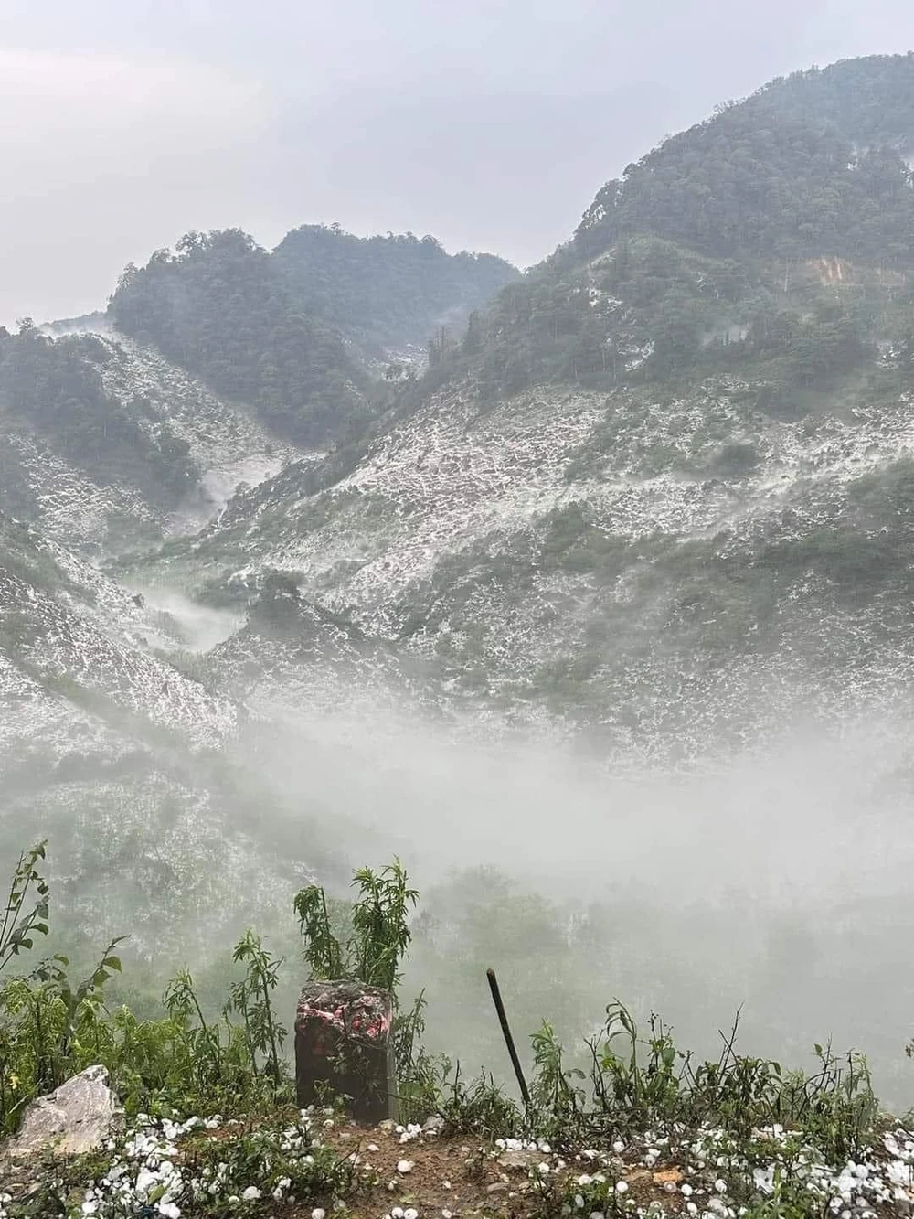 Mưa đá Sơn La phủ trắng núi đồi và mồ hôi, nước mắt người nông dân.jpg