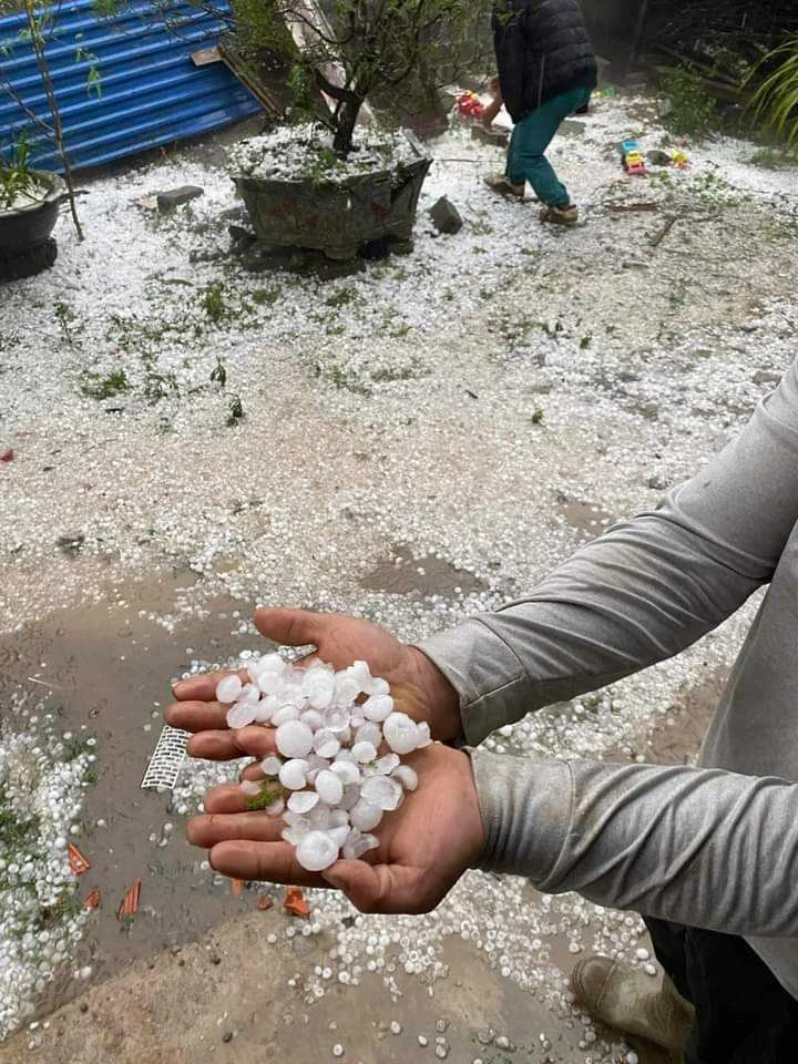 Mưa đá Sơn La phủ trắng núi đồi và mồ hôi, nước mắt người nông dân 7.jpg