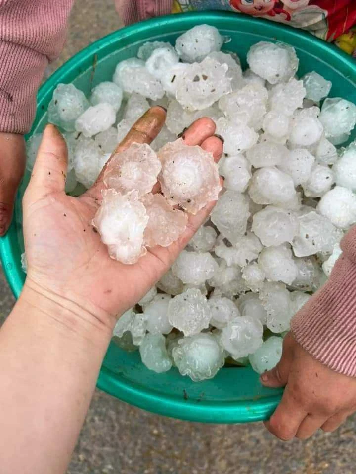 Mưa đá Sơn La phủ trắng núi đồi và mồ hôi, nước mắt người nông dân 8.jpg