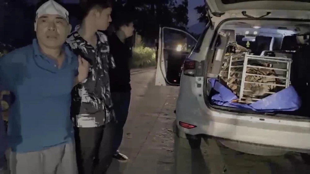 Vận chuyển cá thể hổ còn sống bằng ô tô đi tiêu thụ.jpg