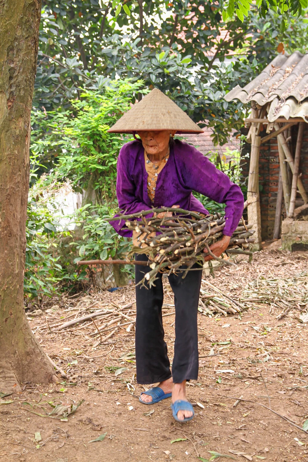 Dân mạng tấm tắc khen bộ ảnh 'ba chị em nàng thơ U100' ở Phú Thọ 3.jpg