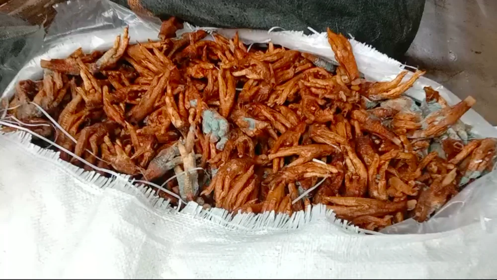 Tiêu hủy gần 2 tấn chân gà bốc mùi hôi thối.png