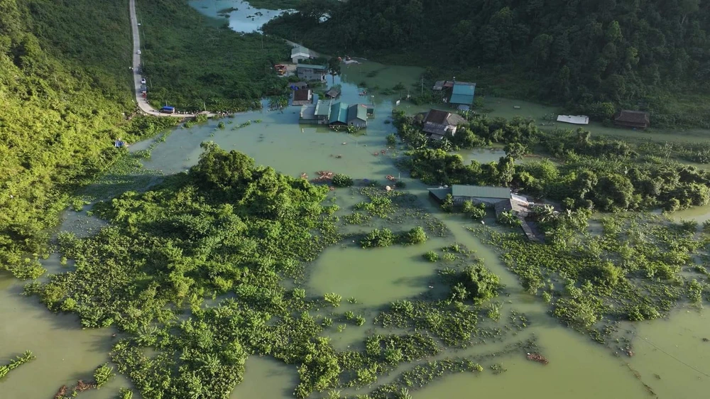 Thai phụ sinh con trên xuồng giữa mênh mông nước lũ.jpeg