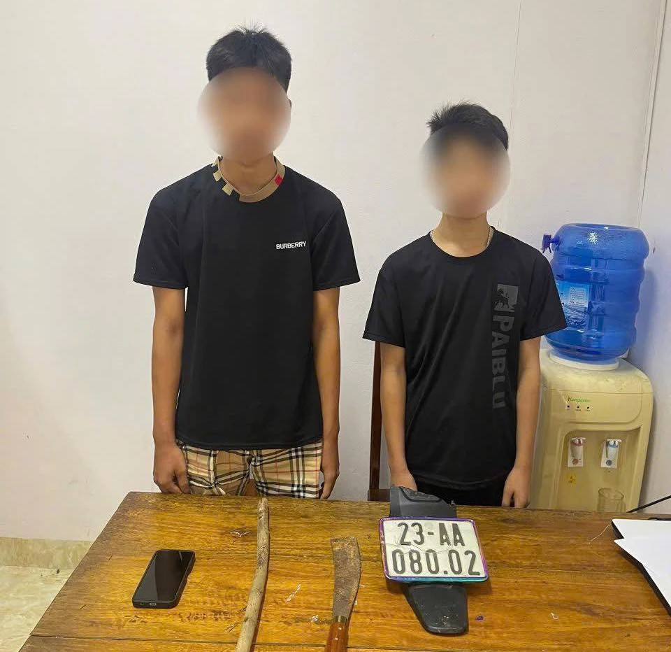 Hai thiếu niên xem clip Tiktok rồi chở nhau chặt biển số xe người đi đường.jpg