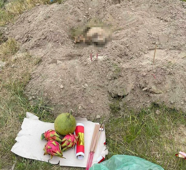 Phú Thọ Phát hiện sọ người ở bãi bồi sông Hồng.jpeg