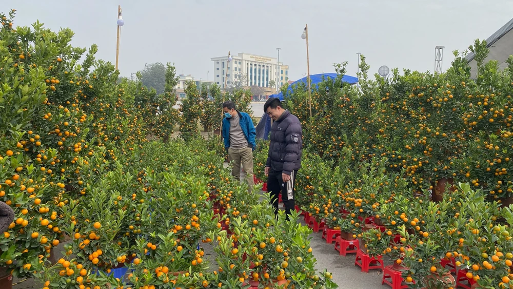 'Bé Na' Phú Thọ được dân mạng khen kute nhất cả nước 1.jpg