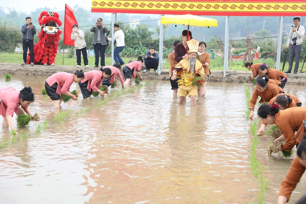 Tái hiện truyền thuyết vua Hùng dạy dân cấy lúa.jpg