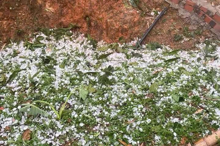 Xuất hiện mưa đá ở Sơn La 2.jpg