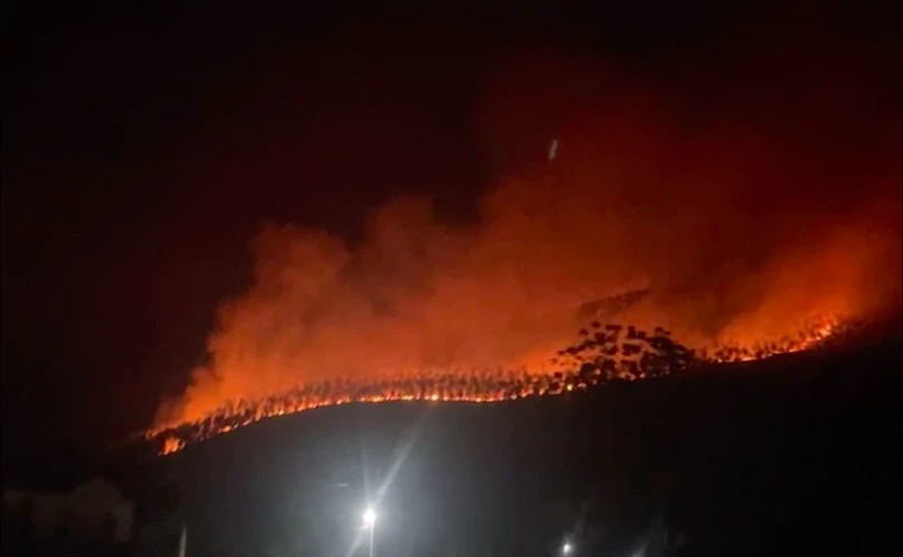 Đang cháy rừng sản xuất ở Vĩnh Phúc.png