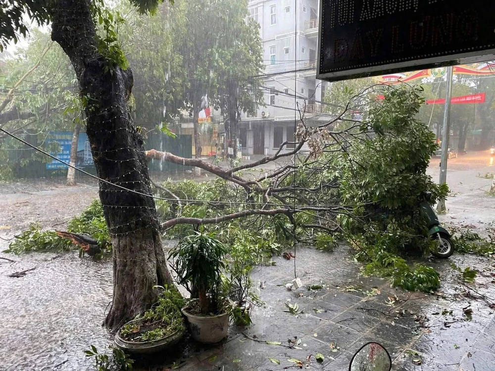 Giông lốc bất thường cực mạnh ở Hòa Bình, cây đổ đè bẹp ôtô 2.jpg