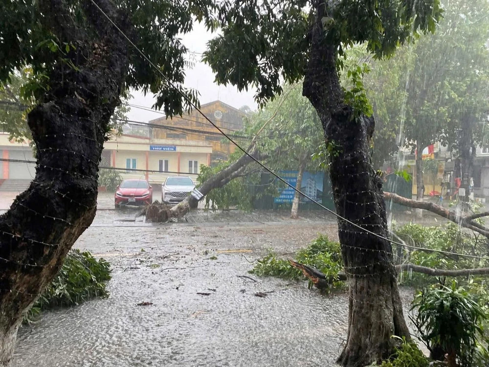 Giông lốc bất thường cực mạnh ở Hòa Bình, cây đổ đè bẹp ôtô 3.jpg