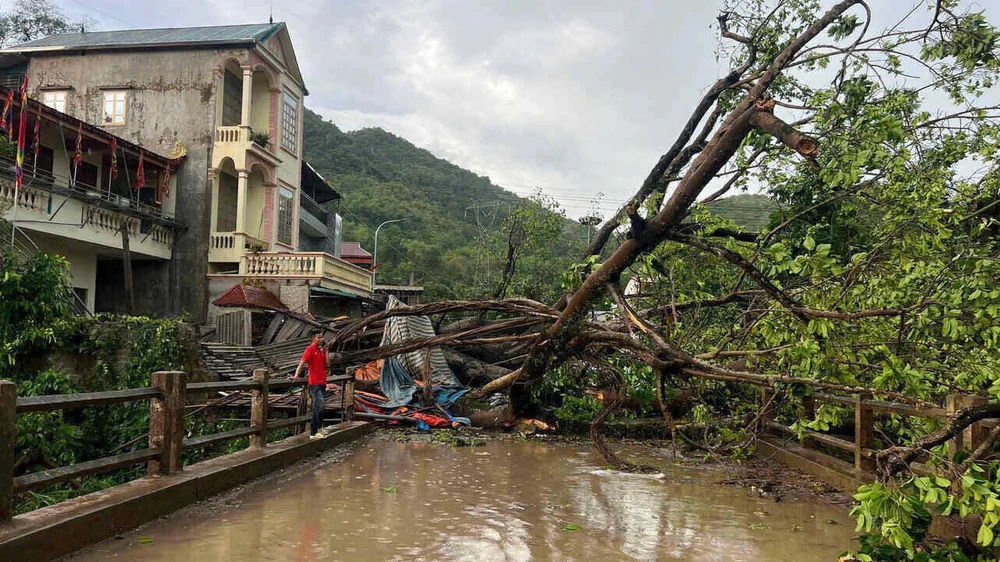 Giông lốc bất thường cực mạnh ở Hòa Bình, cây đổ đè bẹp ôtô 4.jpg