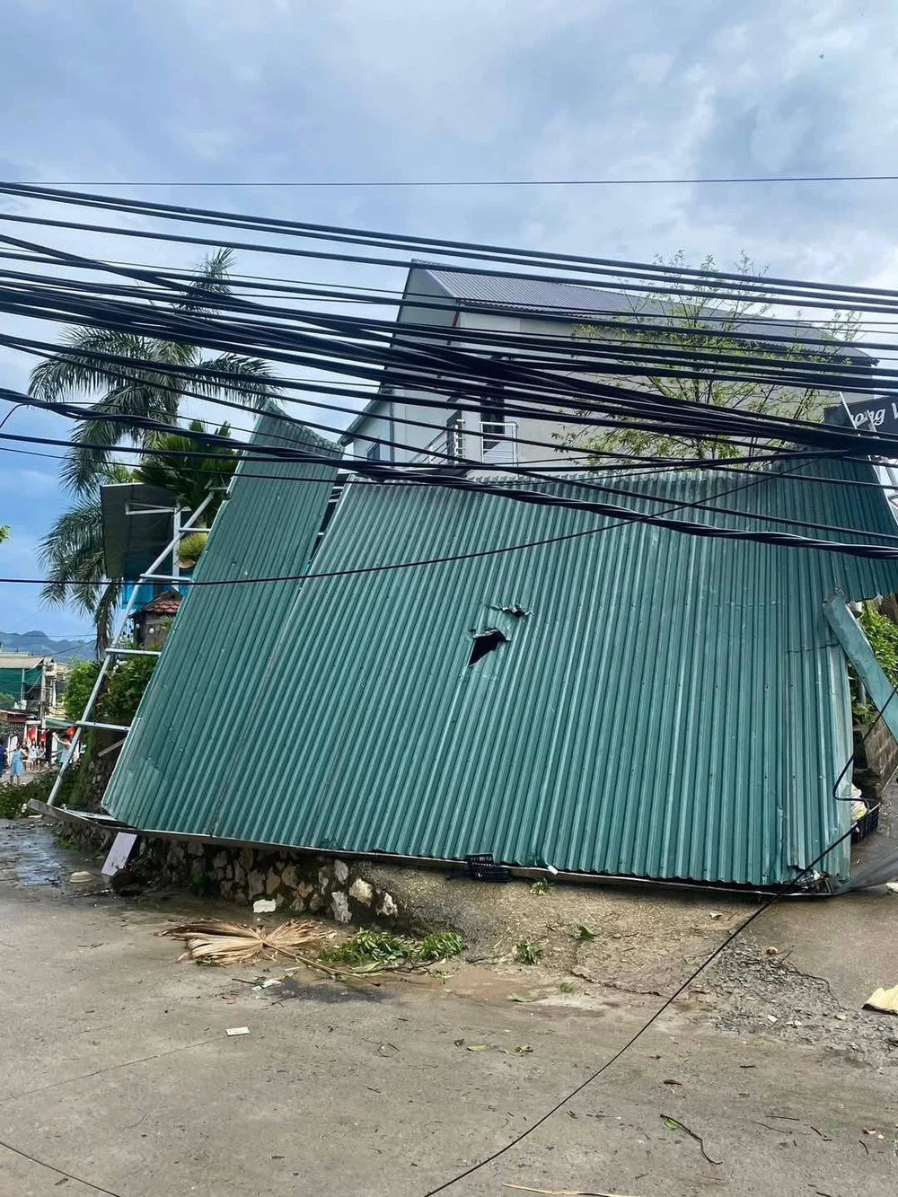 Giông lốc bất thường cực mạnh ở Hòa Bình, cây đổ đè bẹp ôtô 5.jpg