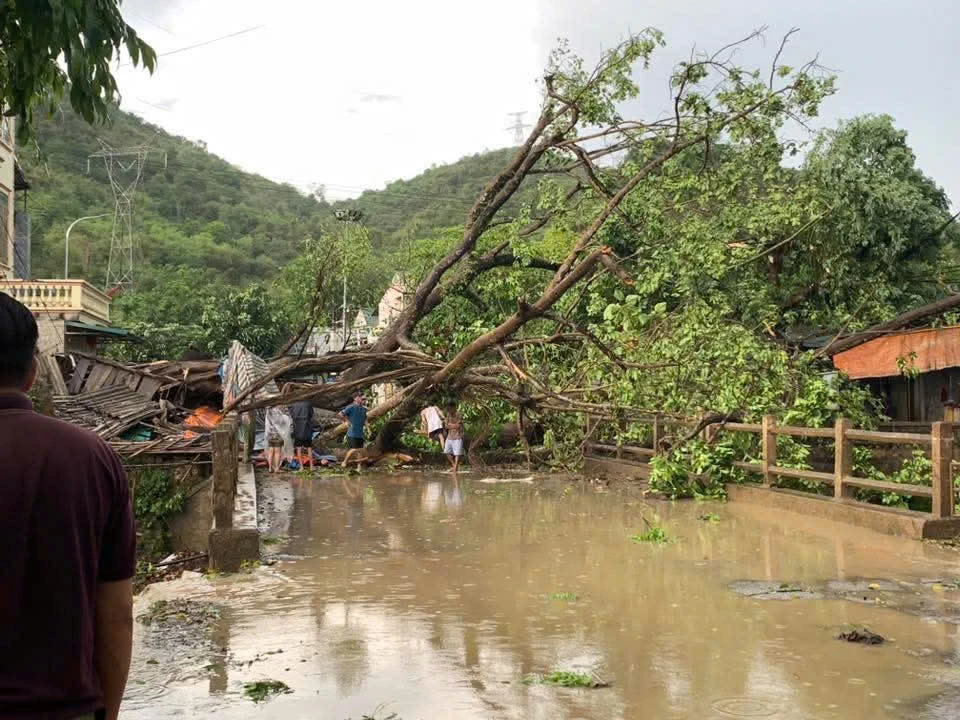Giông lốc bất thường cực mạnh ở Hòa Bình, cây đổ đè bẹp ôtô11.jpg