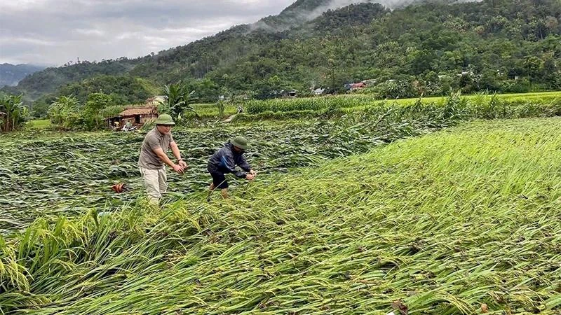 Bùn đất tràn kín mặt đường, nhiều tuyến quốc lộ ở Tuyên Quang ngập úng 3.jpg