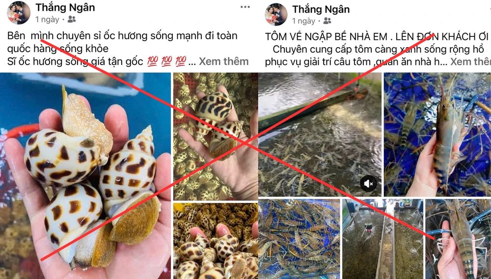 Nghi phạm lừa đảo bị công an bắt khi đang nằm võng 'chốt đơn' với nạn nhân 3.png