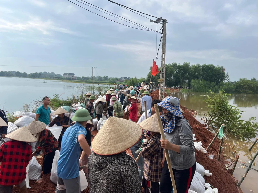 Bắc Ninh Khẩn trương hộ đê sông Thương, kiểm soát nguy cơ sạt lở tại xã Mỹ Thái.jpg