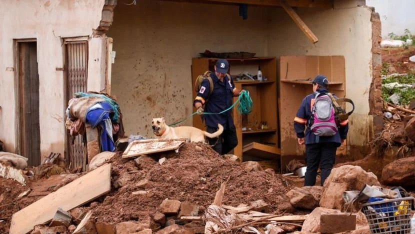 Lực lượng cứu hộ sử dụng chó nghiệp vụ để tìm kiếm thi thể các nạn nhân bị vùi lấp trong đống đất đá sau trận lũ lụt ở Nam Phi, ngày 17-4. Ảnh: REUTERS