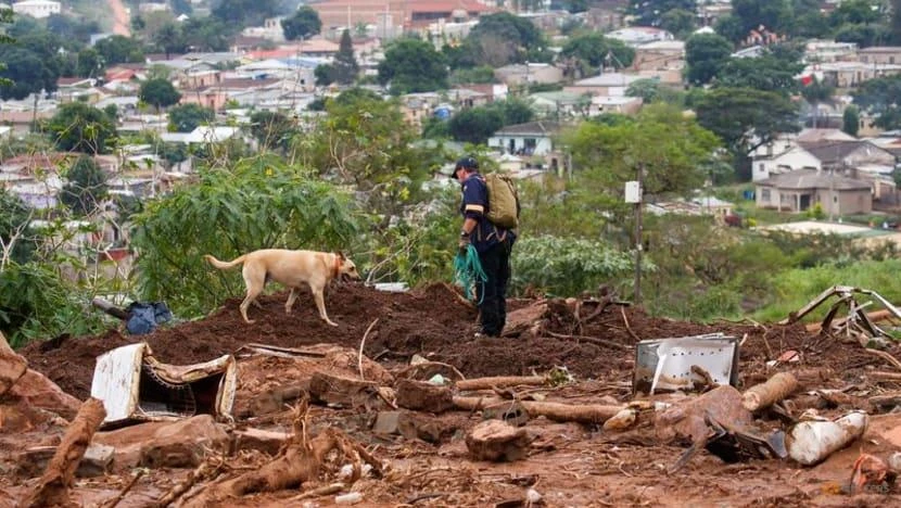 Lực lượng cứu hộ sử dụng chó nghiệp vụ để tìm kiếm thi thể các nạn nhân bị vùi lấp trong đống đất đá sau trận lũ lụt ở Nam Phi, ngày 17-4. Ảnh: REUTERS