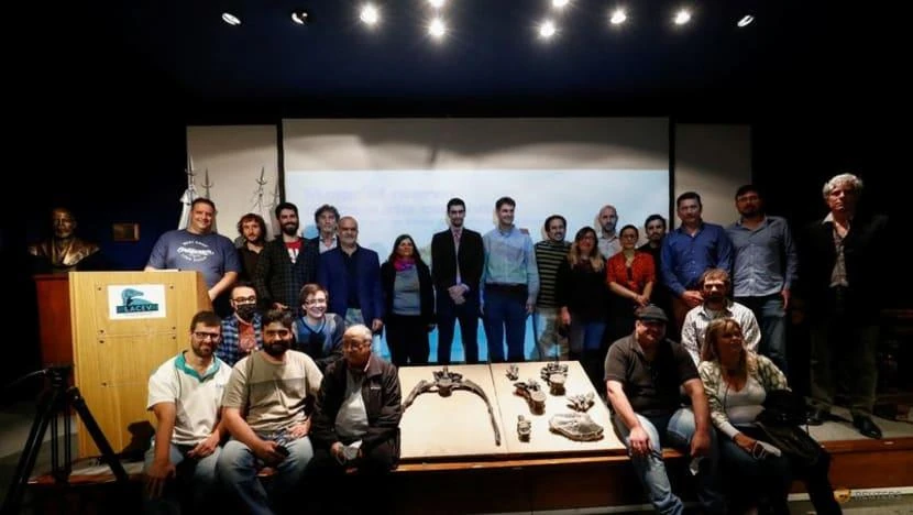 Nhóm các nhà cổ sinh vật học chụp hình bên cạnh những mẫu hóa thạch của loài khủng long Maip macrothorax tại Bảo tàng Khoa học Tự nhiên Bernardino Rivadavia ở Buenos Aires, ngày 27-4. Ảnh: REUTERS