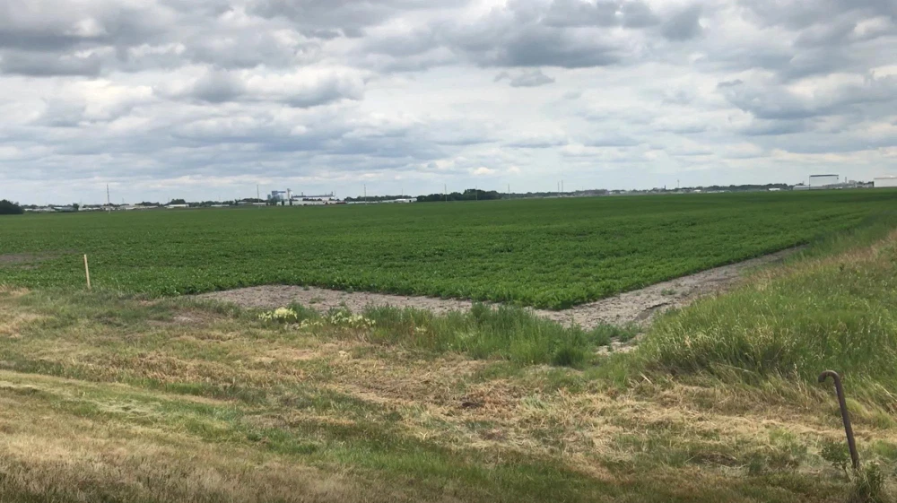 Khu đất mà Fufeng dự định xây dựng nhà máy chế biến ngô ở TP Grand Forks, bang North Dakota, Mỹ. Ảnh: FUFENG USA