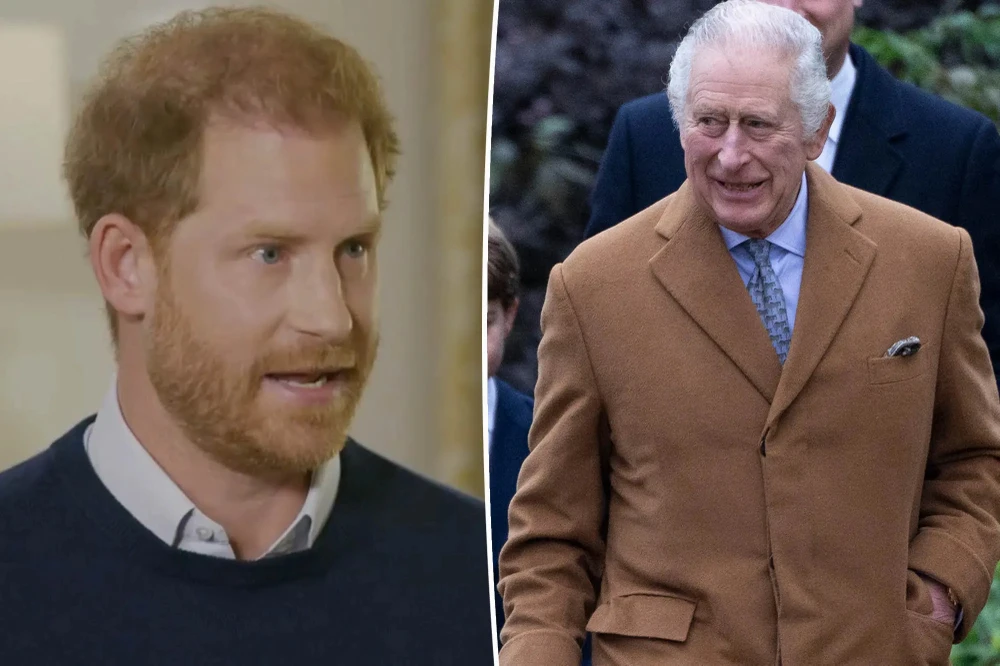 Vua Charles III (phải) và Hoàng tử Harry (trái). Ảnh: THE TIMES