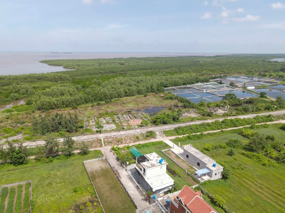 Khu vực khu bảo tồn thiên nhiên đất ngập nước Tiền Hải trên địa phận xã Nam Thịnh, huyện Tiền Hải. Ảnh: T.H