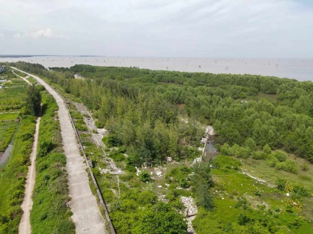 Khu vực khu bảo tồn thiên nhiên đất ngập nước Tiền Hải trên địa phận xã Nam Thịnh, huyện Tiền Hải. Ảnh: T.H