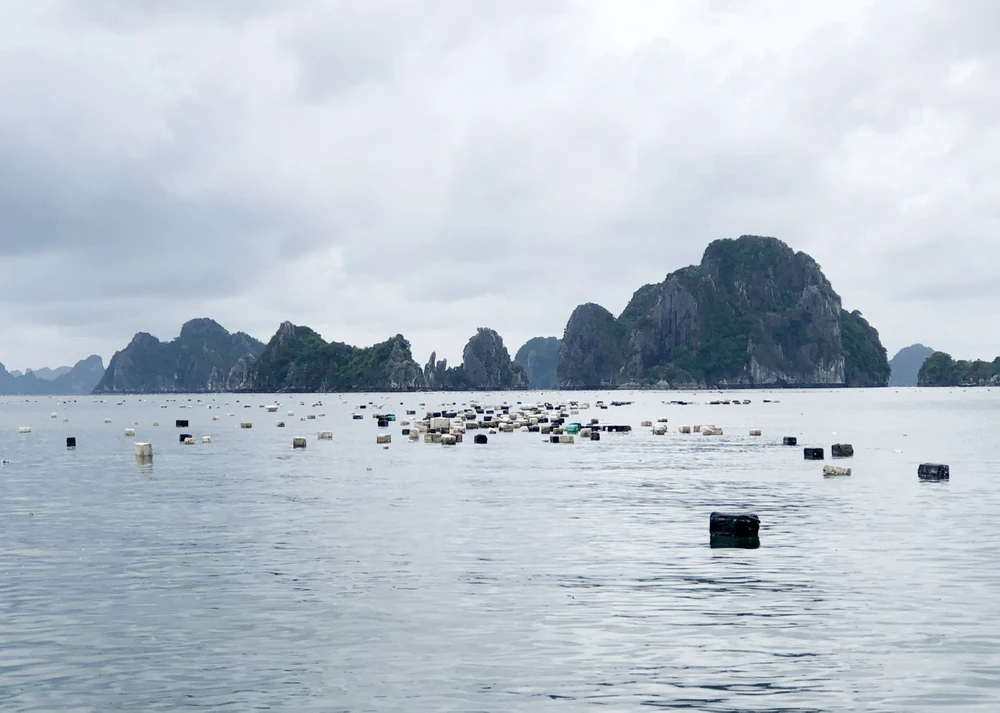 rác trên vịnh hạ long