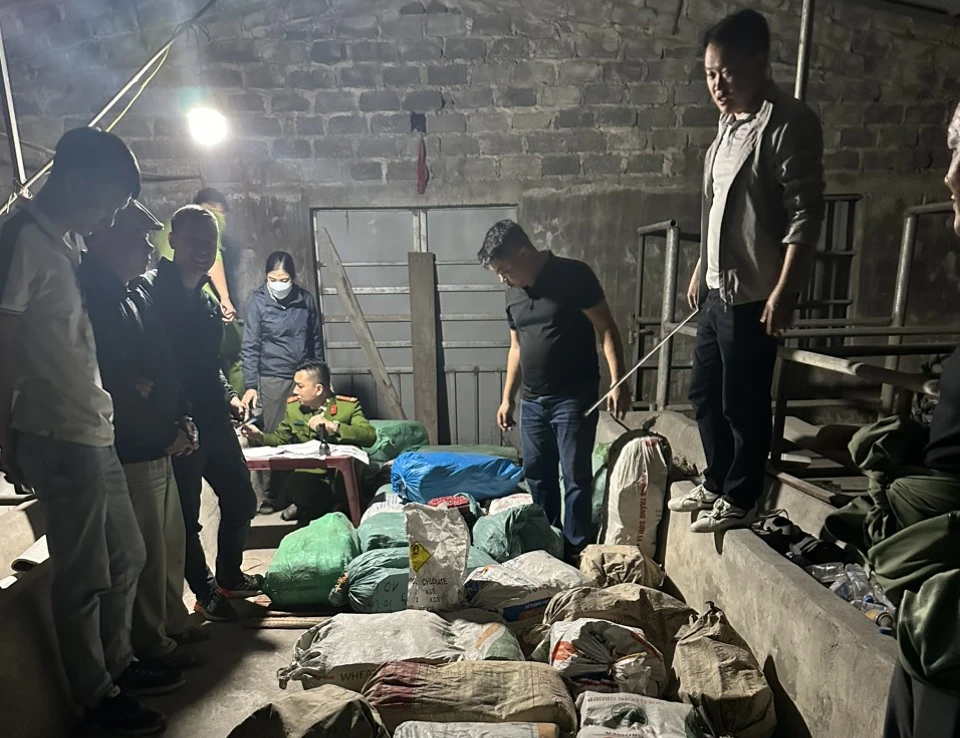 Công an thu giữ 43 bao dứa, bên trong đều chứa pháo nổ được giấu tại chuồng bò