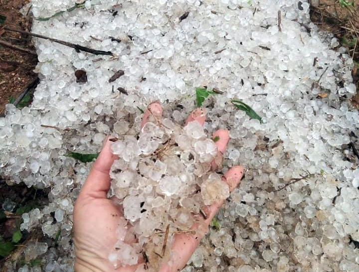 Mưa đá xuất hiện ở Quảng Ninh. Ảnh: Quảng Ninh TNT