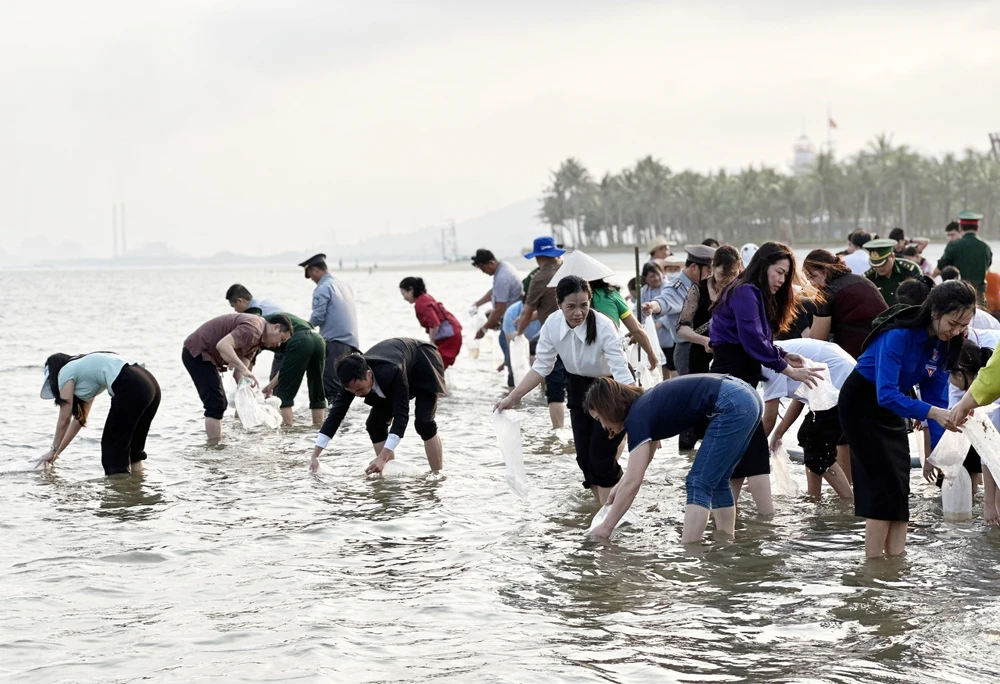 quang-ninh-tha-5-trieu-con-giong-xuong-bien-de-tai-tao-nguon-loi-thuy-san-6.jpg