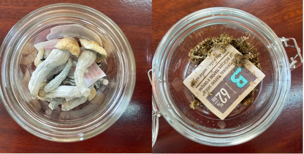 Ma tuý ‘nấm thần’ lần đầu tiên xuất hiện trên địa bàn tỉnh Quảng Ninh. Ảnh: CAQN