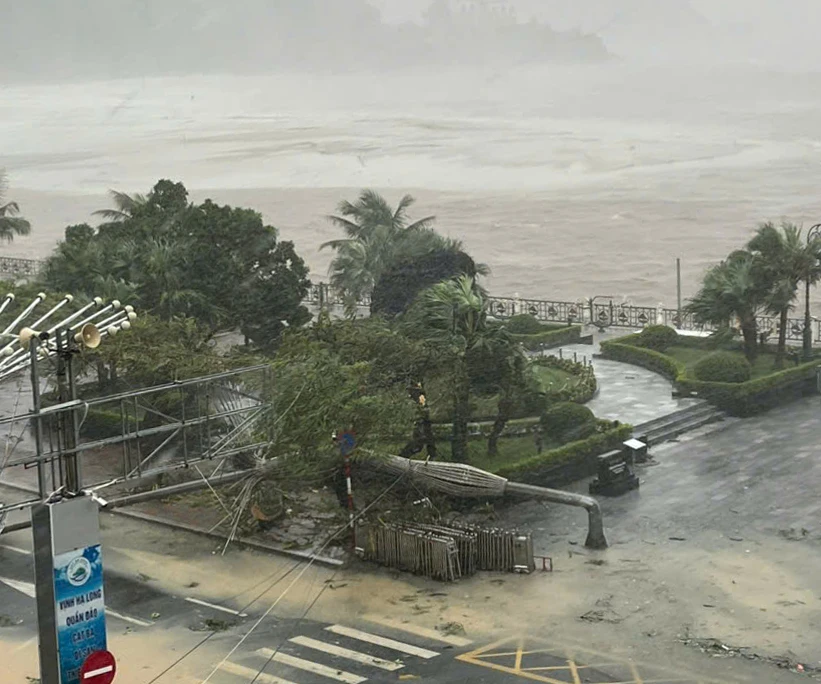 Bão số 3 đổ bộ khiến nhiều cây cột điện, cây xanh tại đảo Cát Bà (huyện Cát Hải, Hải Phòng) gẫy đổ. Ảnh: NGỌC SƠN